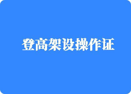 黑丝日逼视频登高架设操作证